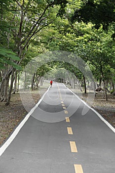 Thai country road running through tree alley