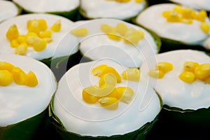 Thai dessert, Tako, Traditional Thai Pudding with Coconut Topping photo