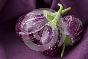 Thai Eggplant