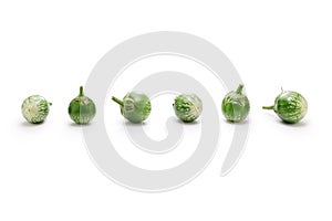 Thai eggplants