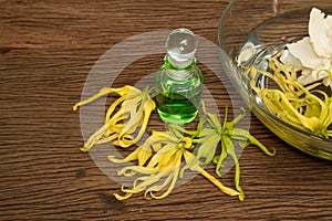 Thai essential massage oil, ylang-ylang flower
