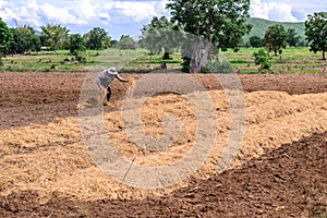 Agricultor plantación paja 