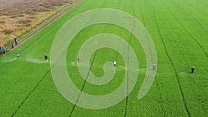 Thai farmer spraying  insecticides in agricultural area