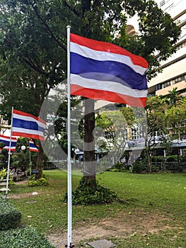 Thai Flag