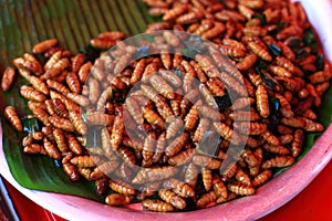 Thai food fried larvae