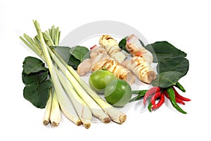 Thai food ingredient for Tom yum