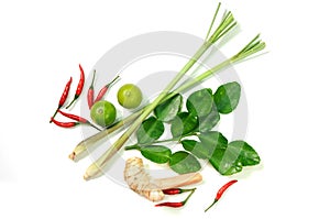 Thai food ingredients