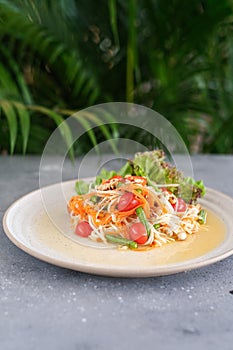 Thai food, Papaya salad on white plate on grey background