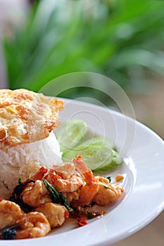 Thai, food, shrimp, fried