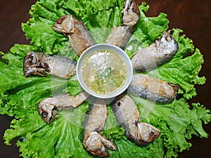 Thai food style, Top view of Fried Mackerel and Spicy seafood dipping sauce on lettuce