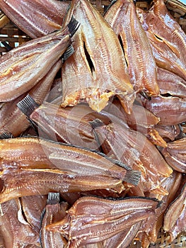 Thai food, Sun-dried fresh catfish. Sun dried fish is a food preservation to keep for a long time