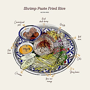 Thai fried rice with shrimp paste, khao kluk kapi. Hand draw vector