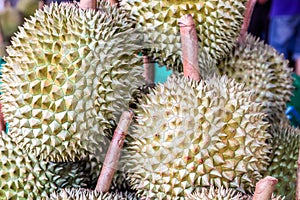 Thai Fruits : Durian, the Controversial King of Tropical Fruits photo