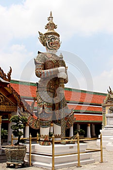 Thai giant