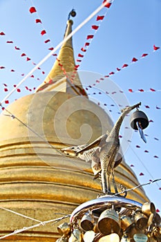 Thai golden swan in front of pagoda at golden mountain temple