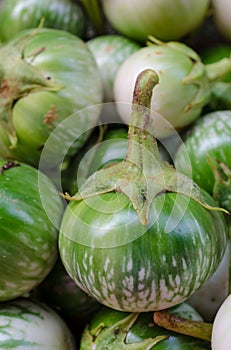 Thai Green Eggplant