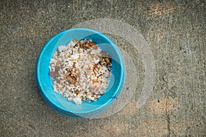 Thai homemade feed in bowl for for dog or cat