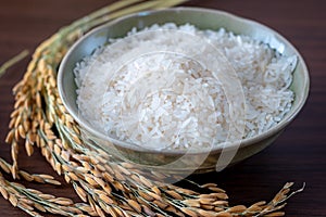 Thai jasmine rice and Ear of rice on wooden background