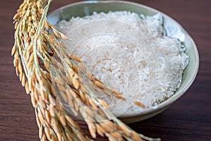 Thai jasmine rice and Ear of rice on wooden background