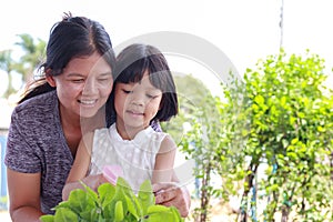 Thai kid girl, aged 4 to 6 years old, cute face, Asian descent studying online She raised her hand and asked. smiling face she