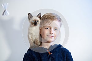 Thai kitten sits on a boy of 8 years old on his shoulder