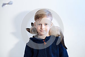 Thai kitten sits on a boy of 8 years old on shoulder