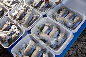 Thai mackerel fish,Mae Klong stream mackerel sale at Rom Hup market or Mae Klong Railway,Train market,popular thai food,travel in