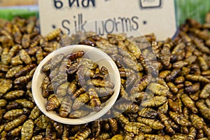 Thai Market Street Food Insects