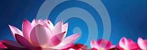 Thai New Year, pink lotus in water, lotus petals, surface with ripples, spa and cosmetics concept background, drops and