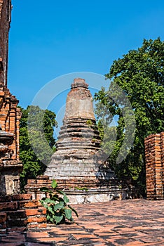 Thai pagoda , Wat Yaichaimongkol temple, Ancient remains in Ayuttaya city in Thailand.