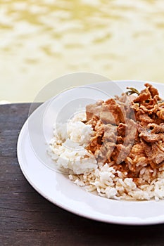 Thai panang curry with steamed rice
