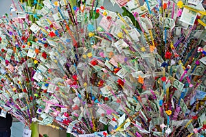 Thai people make a donation tree in Visakha Bucha day.