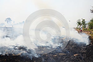 Thai People use branch and leaf extinguish Smoke and flames