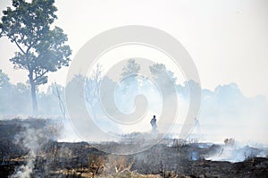 Thai People use branch and leaf extinguish Smoke and flames
