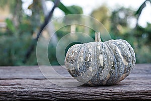 Thai pumpkin on wood background