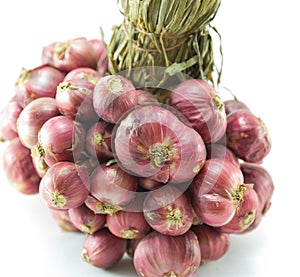 Thai red onion ingredient of thai food
