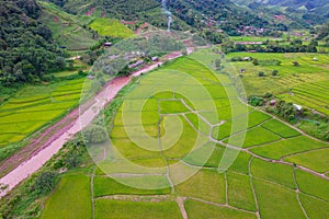 Thai rice fields from above in Thailand