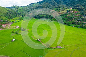 Thai rice fields from above in Thailand