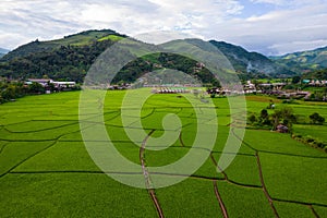 Thai rice fields from above in Thailand
