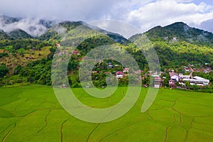 Thai rice fields from above in Thailand