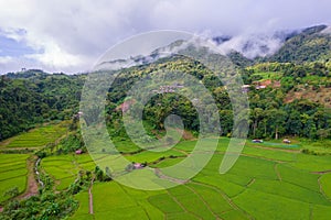 Thai rice fields from above in Thailand