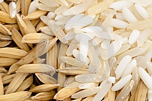 Thai rice seed and mix grain