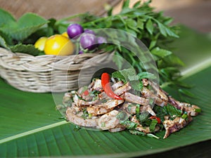 Thai salad - Squid spicy salad