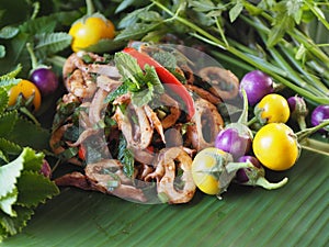 Thai salad - squid spicy salad with herb