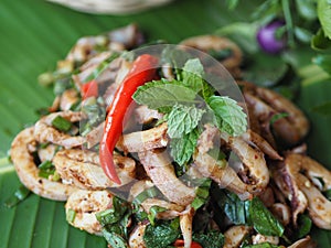 Thai salad - squid spicy salad with herbs