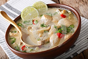 Thai soup tom kha gai from chicken with vegetables in coconut mi