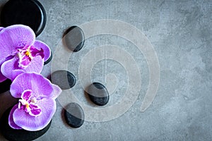 Thai Spa. Top view of hot stones setting for massage treatment and relax with purple orchid on blackboard with copy space.