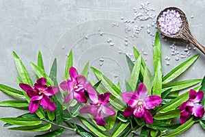 Thai Spa.  Top view of hot stones setting for massage treatment and relax with purple orchid on blackboard with copy space.  Green