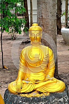 Thai statue