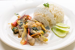 Thai stir fried chicken and basil with rice Easy to find in Thai